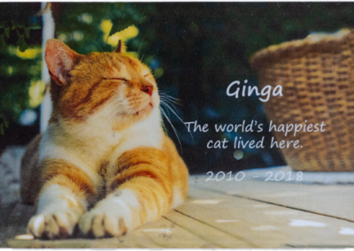 Pet plaque with ginger cat