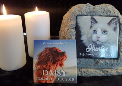 Create beautiful plaques to remember your beloved pets.